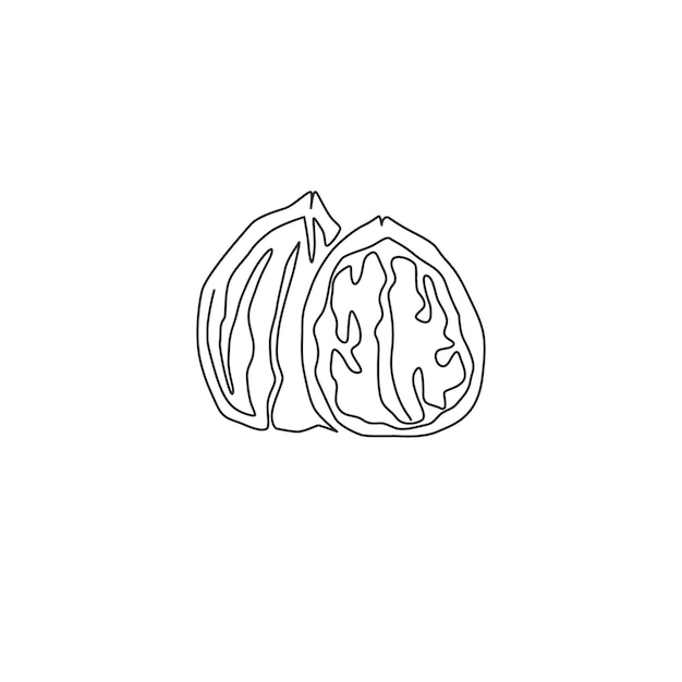 One continuous line drawing healthy organic walnut food Fresh nutshell design vector illustration