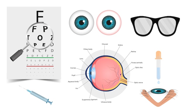 ophthalmology oculist set vision correction eye anatomy with exam table