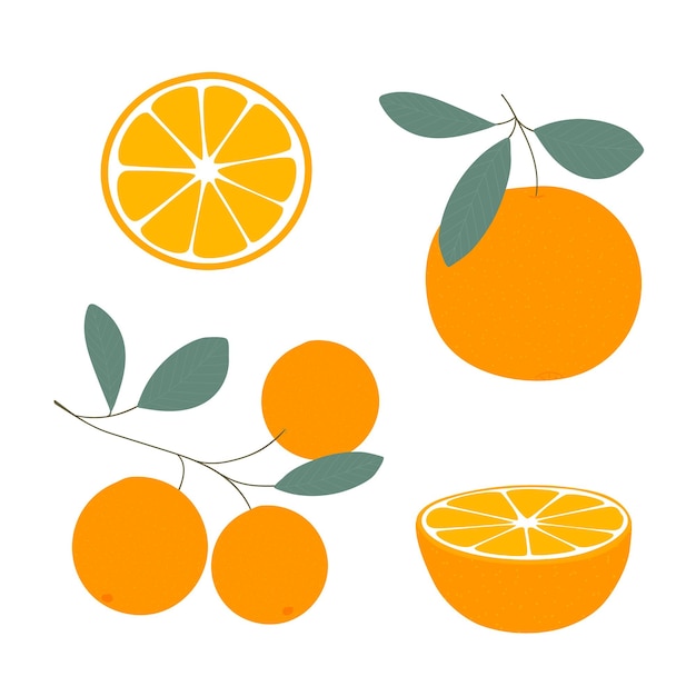 Orange Set of fresh whole half cut slice of orange isolated on white background Tangerine Organ
