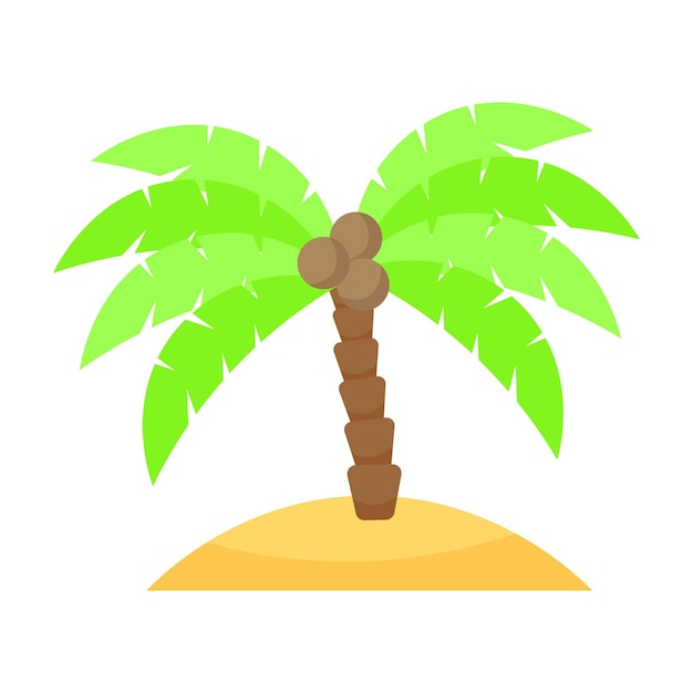Palm tree with coconuts on the island