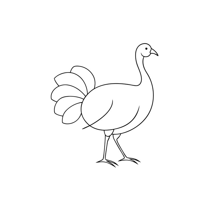 Vektor printable line drawing of turkey bird for coloring book