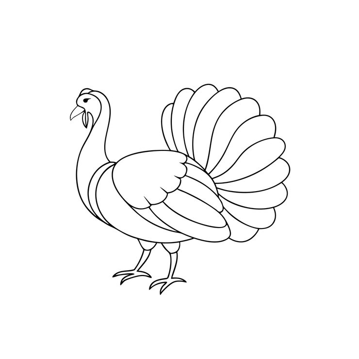Vektor printable thin line drawing of turkey birdcoloring page