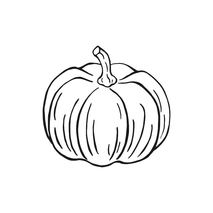 Vektor pumpkin hand drawn vector illustration