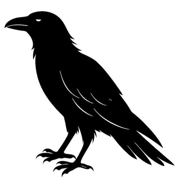 Raven Silhouette Collection in Multiple Poses for Halloween Gothic and NatureThemed Designs