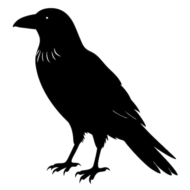 Raven Silhouette Collection in Multiple Poses for Halloween Gothic and NatureThemed Designs
