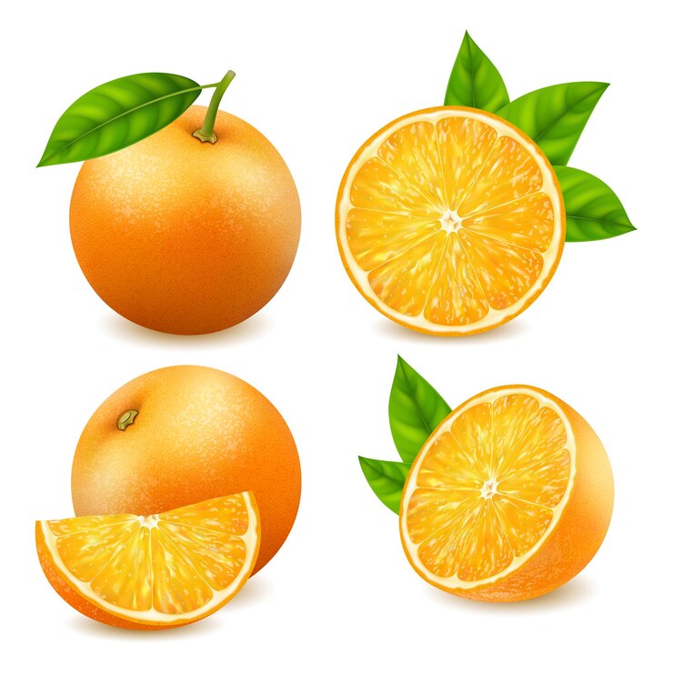 Realistic Detailed 3d Fresh Ripe Whole and Slice of Oranges Set Vector