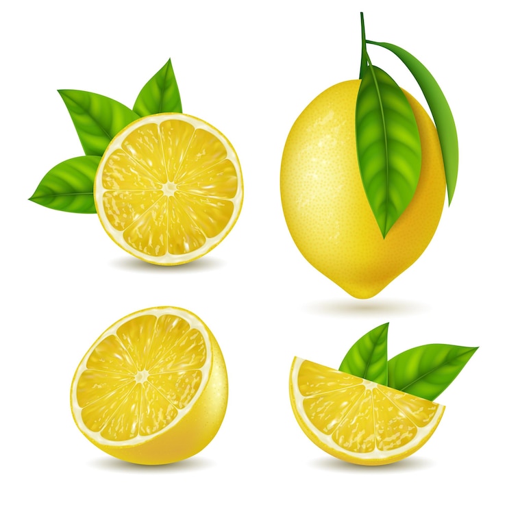 Realistic Detailed 3d Yellow Lemon Slices Set Vector