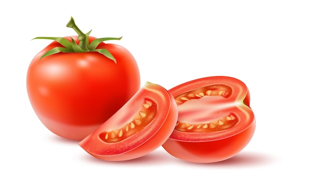 Realistic vegetable 3D agriculture food Fresh farm vegetarian product Whole and sliced tomatoes Healthy diet nutrition Ripe harvest Plant fruit pieces Vector cooking raw ingredient