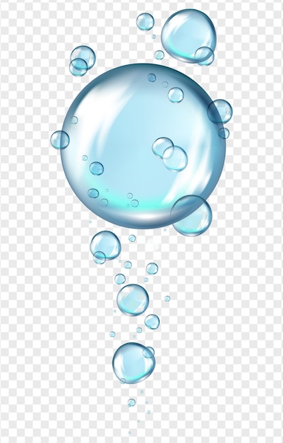 Realistic Water Bubbles Isolated on Transparent Background