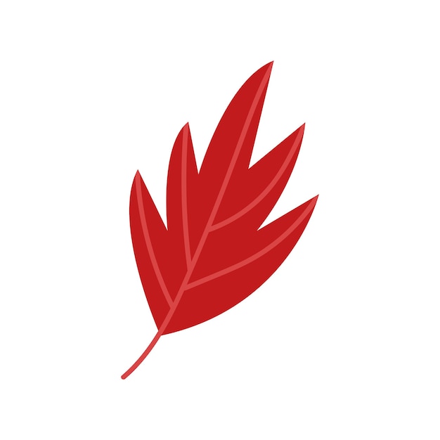 red autumn leaf cartoon vector clipart