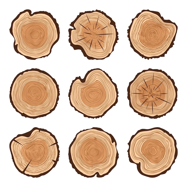 Round tree trunk cuts with cracks sawn pine or oak slices lumber saw cut timber wood brown wooden