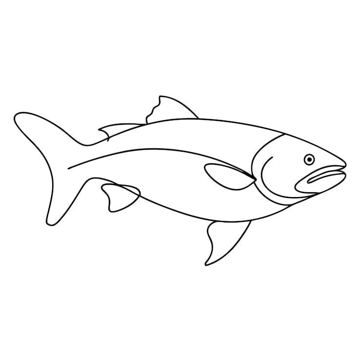 Vektor salmon fish continuous one line art drawing vector illustration coloring page