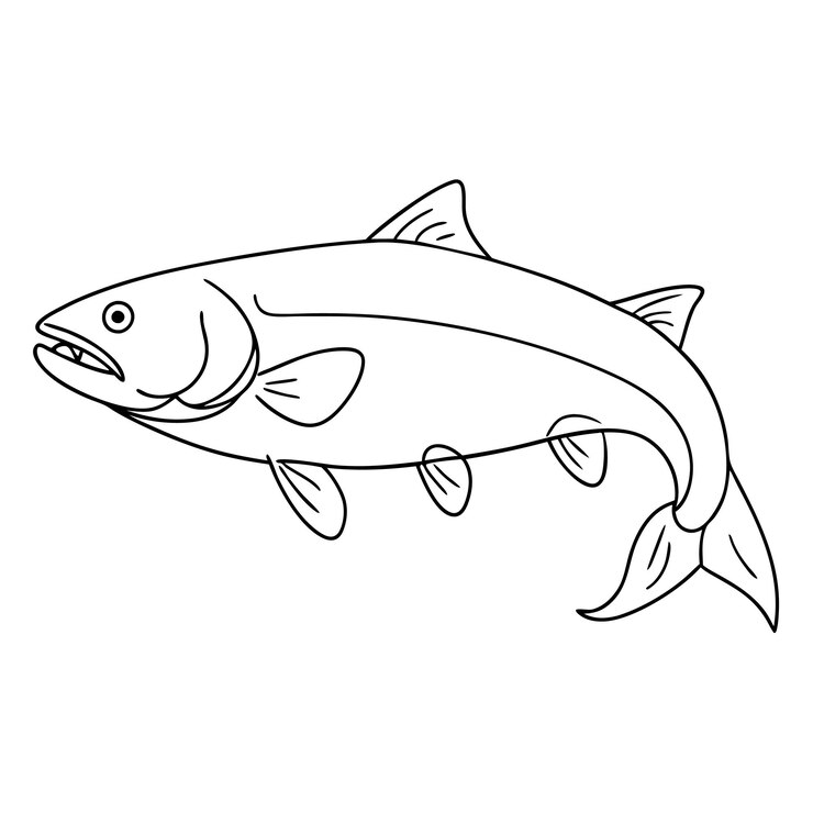 Vektor salmon fish continuous one line art drawing vector illustration coloring page
