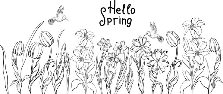 Vektor selection of doodle pictures cute tulips daffodils bells daisies birds handdrawn