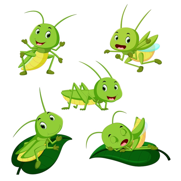 Vektor set collection grasshopper cartoon