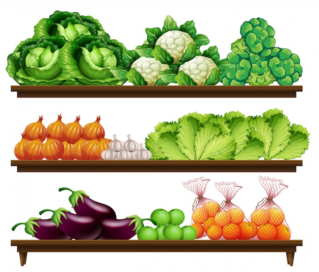 Set of organic vegetable