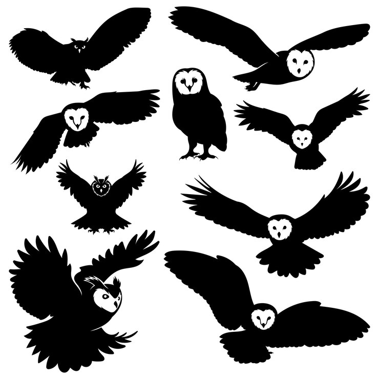 Set of owl vector illustration silhouettes on white background