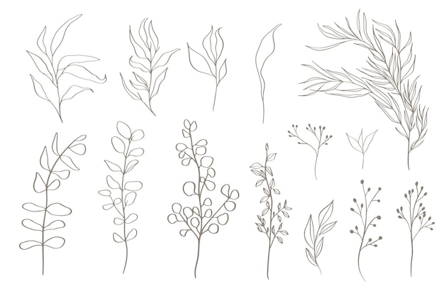 Set of tree branches eucalyptus leaves herbs and flowers silh