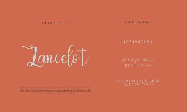 Signature Font Calligraphy Logotype Script Brush Font Type Font lettering handwritten