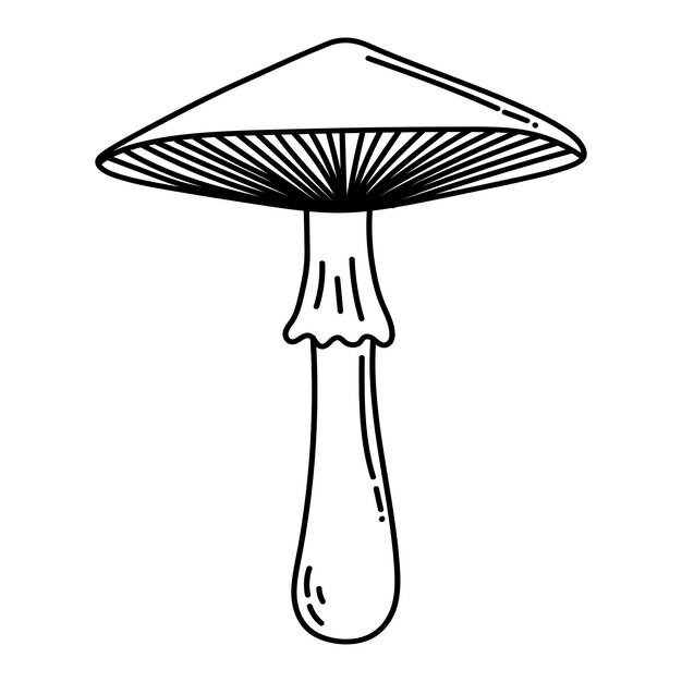 Simple vector doodle Sketch drawing of forest mushroom Easy to change color