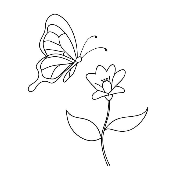 Vektor single line art for coloring page of beautiful butterfly