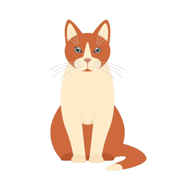 Sitting Cat front view Happy funny pet animal Cat icon