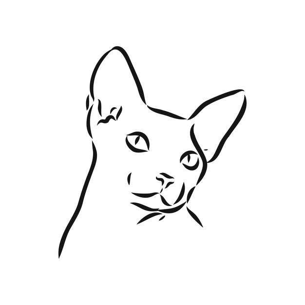 Sketch of a sphinx cat isolated on a white background sphinx cat vector sketch