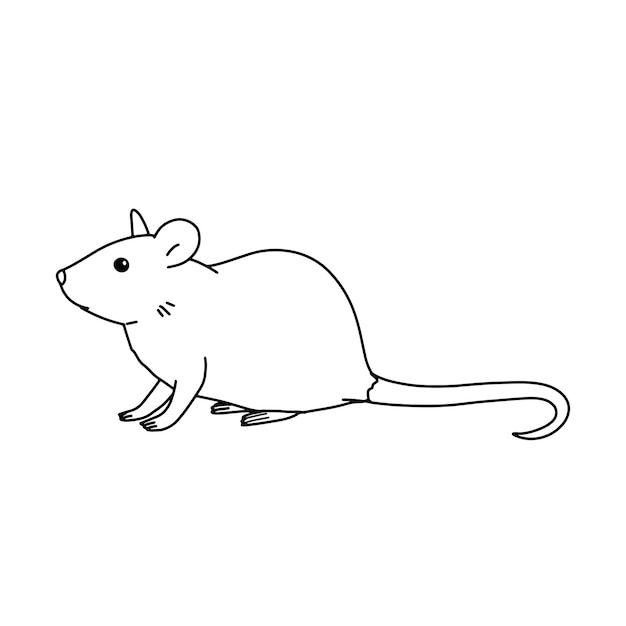 Sketch of realistic laboratory mouse Pet in outline style Vector doodle illustration