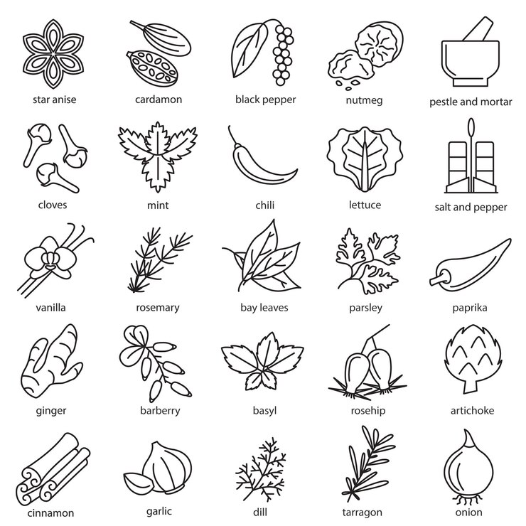 Spices Condiments Sign Black Thin Line Icon Set Vector