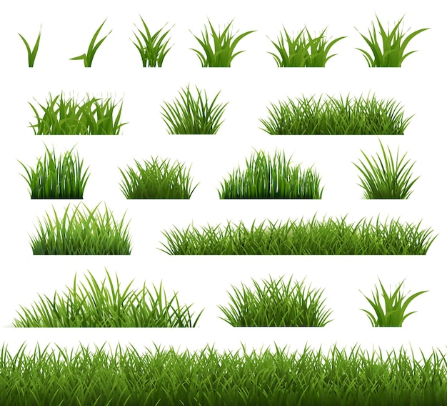 Spring Green Grass Transparent Background
