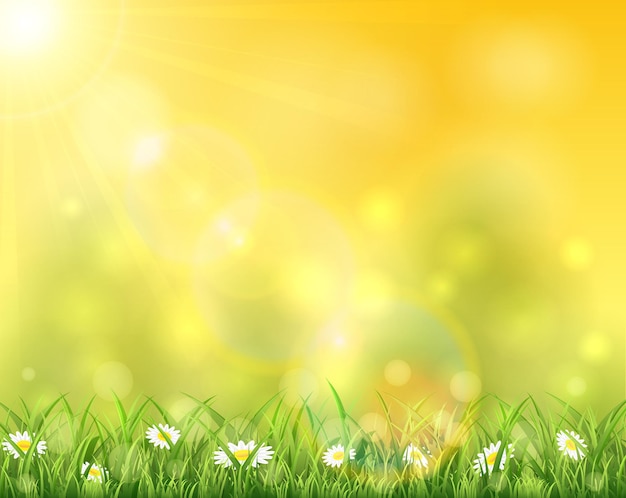 Spring or summer background, sunny day with flowers and grass, illustration.
