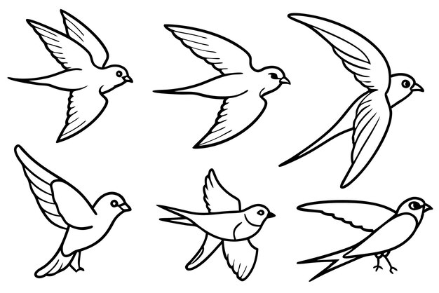 Swift bird line art