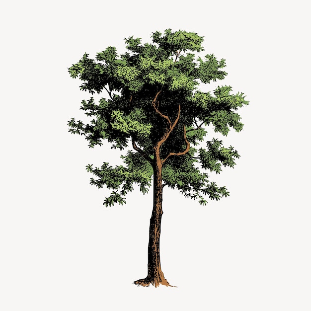 Tree collage element vintage nature illustration vector