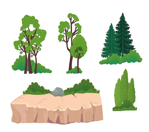 Trees pines shrubs and stones design, landscape nature and outdoor