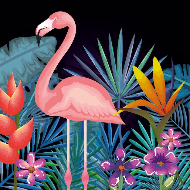 tropical and exotic garden with flemish