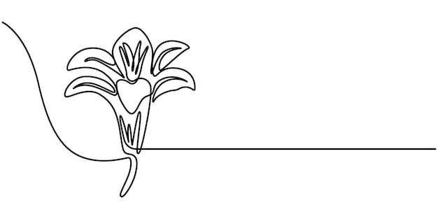 Trout Lily Flower Continuous Line Drawing with Varying Width Editable Stroke Lily flower