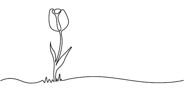 Tulip Continuous Line Icon Flower drawing mono line Continuous line icon on white background A