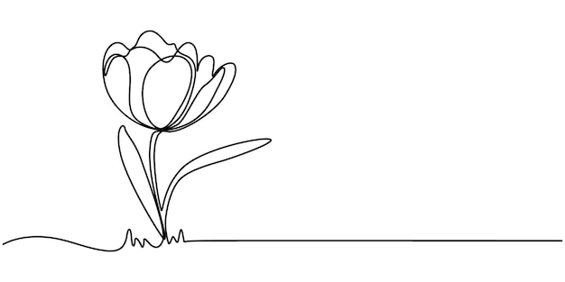 Tulip Continuous Line Icon Flower drawing mono line Continuous line icon on white background A