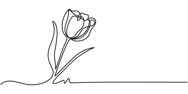 Tulip Continuous Line Icon Flower drawing mono line Continuous line icon on white background A