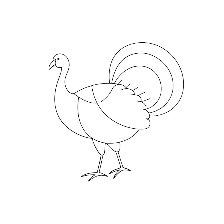 Vektor turkey bird line art for coloring book