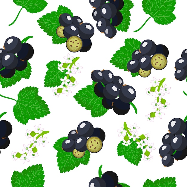 vector cartoon seamless pattern with ribes nigrum or blackcurrant exotic fruits, flowers and leafs