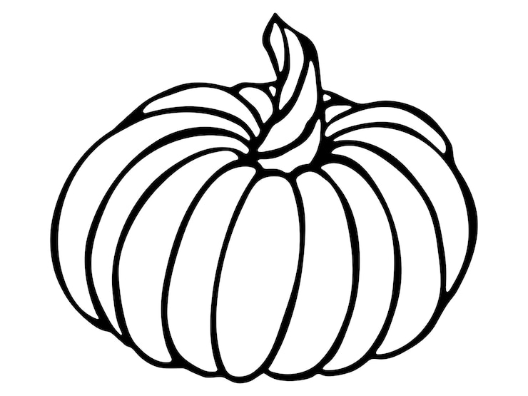 Vektor vector hand drawn pumpkin illustration vegetable harvest clipart farm market product