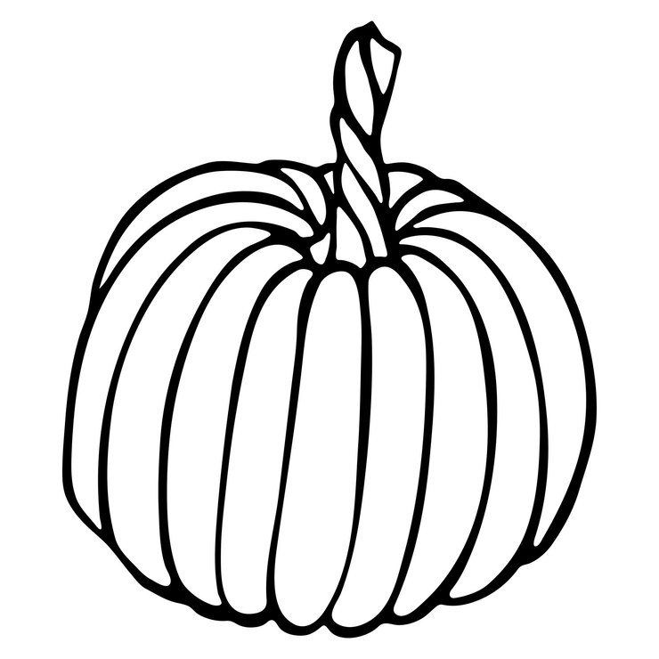 Vektor vector hand drawn pumpkin illustration vegetable harvest clipart farm market product