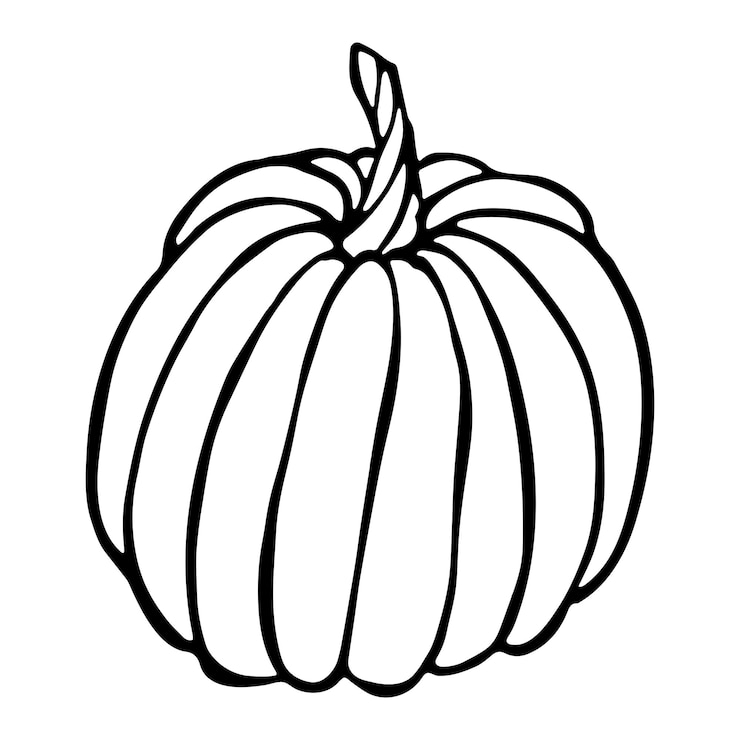 Vektor vector hand drawn pumpkin illustration vegetable harvest clipart farm market product