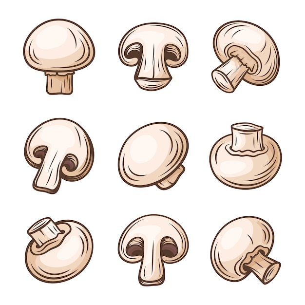 Vector Hand Drawn White Champignon Set Cartoon Champignon Mushrooms Design Template Clipart Agaricus Campestris