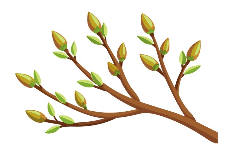 Vector illustration of a budding tree branch with green leaves and flower buds