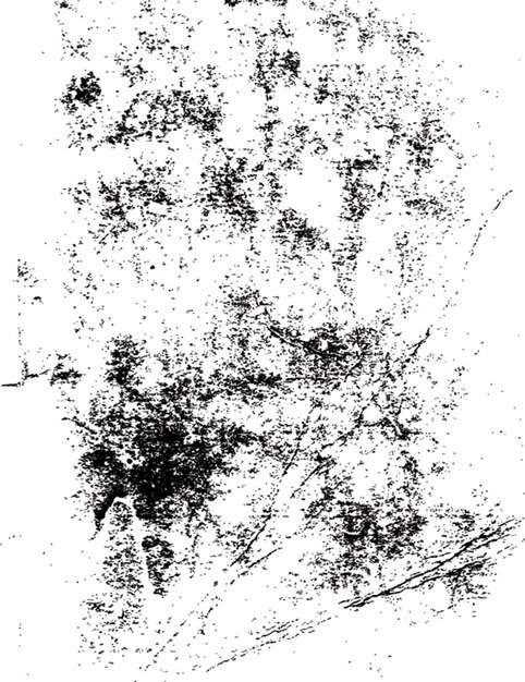vector texture