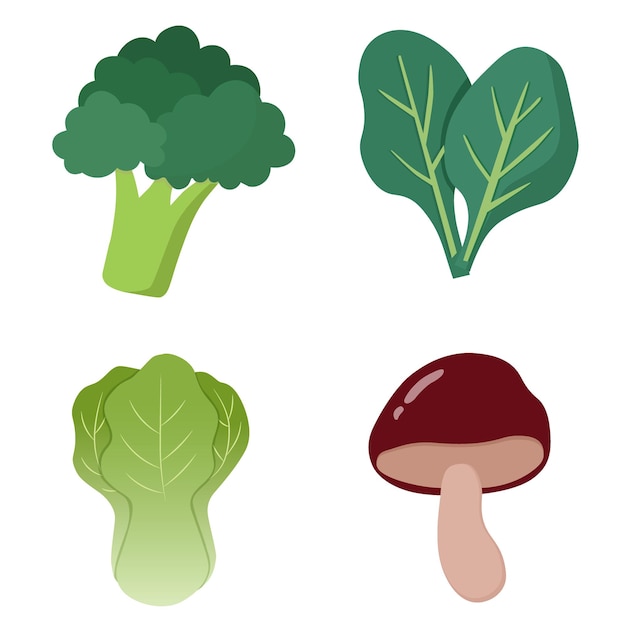 vegetables illustration set broccolispinachmushroomlettuce