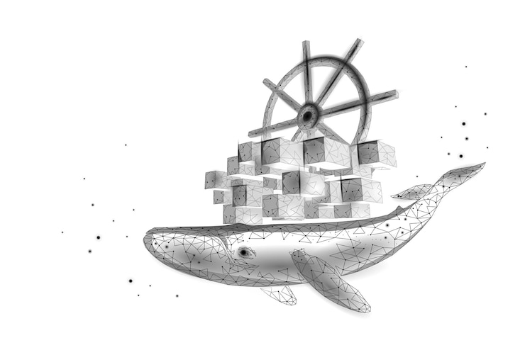 Vektor whale and container computer docker developer app concept. business digital open source program. data coding steering 3d low polygonal vector line illustration.