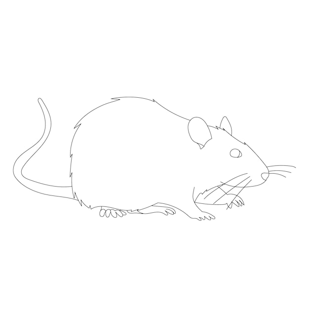 white background rat mouse outline set
